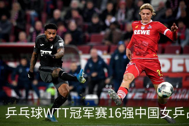 乒乓球WTT冠军赛16强中国女乒占6席，排名滑到第7的陈幸同3-0轻松晋级，蒯曼决胜局14-12险胜