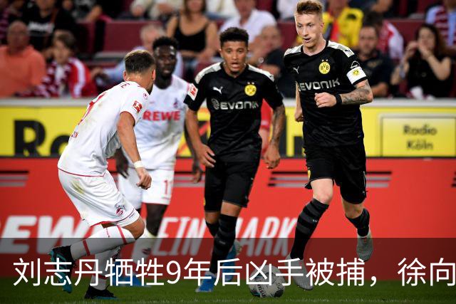 刘志丹牺牲9年后凶手被捕，徐向前下令释放：回去千万别说咱们好！